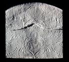 DS1989-0817
