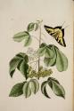 D2006-CMD-870, Plate 83


