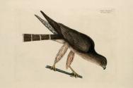 D2006-CMD-891, Plate 3

