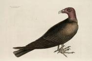 D2006-CMD-893, Plate 6

