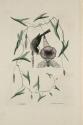 D2006-CMD-899, Plate 35

