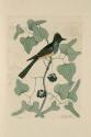 D2006-CMD-905, Plate 52

