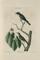 D2006-CMD-907, Plate 54

