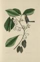 D2006-CMD-909, Plate 64

