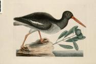 D2006-CMD-916, Plate 85

