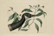 D2006-CMD-921, Plate 92

