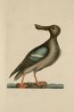 D2006-CMD-924, Plate 96


