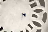 D2007-CMD-0008

