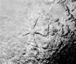 C2002-128-5, Salt