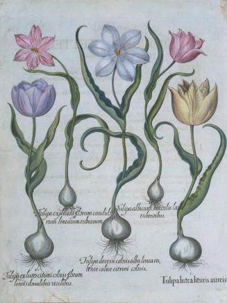 TC1992-361. Print.