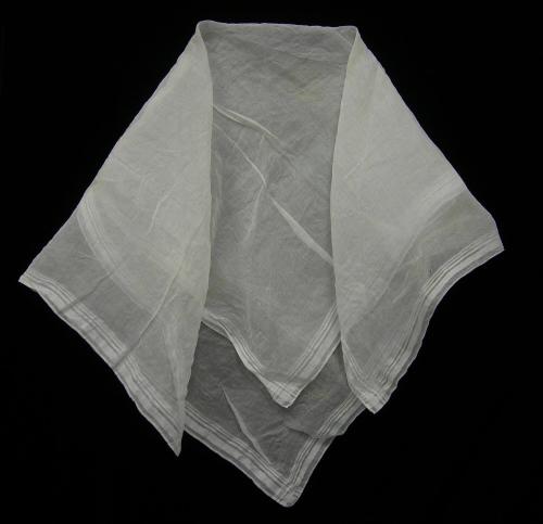 2009 Record shot by L. Baumgarten. Sheer cotton kerchief.