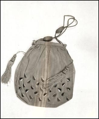 2009 Record shot by L. Baumgarten. Purse.