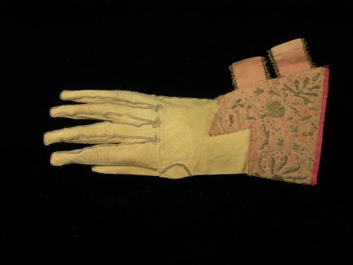 2009 Record shot by L. Baumgarten. Glove.