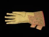 2009 Record shot by L. Baumgarten. Glove, reverse.