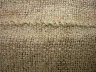 2009 Record shot by L. Baumgarten. Mattress tick, detail.