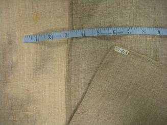 2009 Record shot by L. Baumgarten. Mattress tick, detail.
