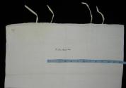 2009 Record shot by L. Baumgarten. Pillowcase.