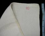 2009 Record shot by L. Baumgarten. Napkin, detail of embroidery.
