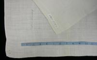 2009 Record shot by L. Baumgarten. Napkin, detail to show marks.