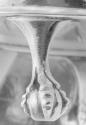 C68-157. Salt, detail of foot.