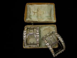 2009 Record shot by L. Baumgarten. Buckles: 1950-110,1-2