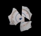 D2013-CMD