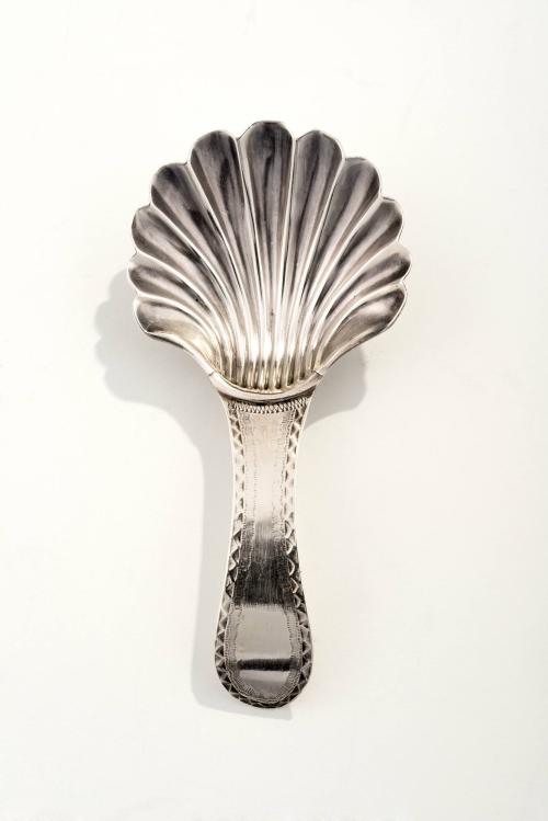 Caddy Spoon 1998-92