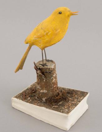 Canary Squeak Toy