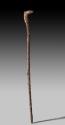 Walking Stick 2016.708.1