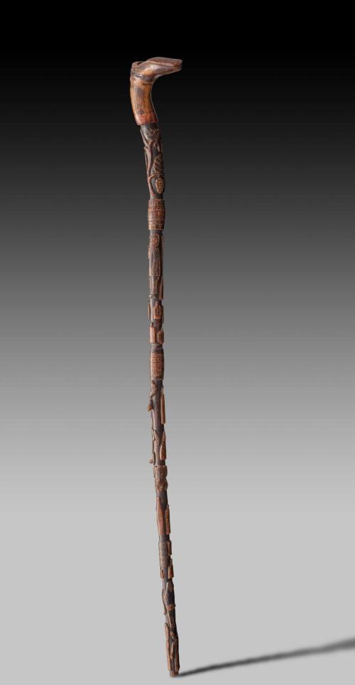 Walking Stick 2016.708.1