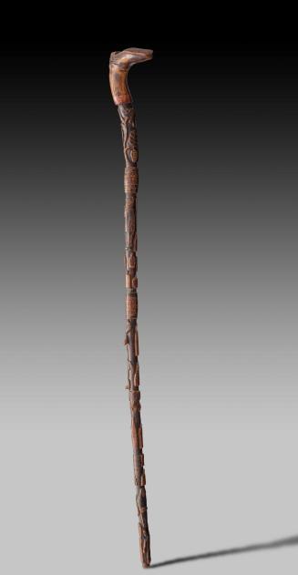 Walking Stick 2016.708.1