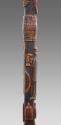 Walking Stick 2016.708.1