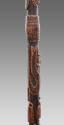 Walking Stick 2016.708.1