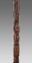 Walking Stick 2016.708.1
