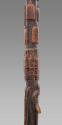 Walking Stick 2016.708.1
