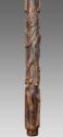 Walking Stick 2016.708.1