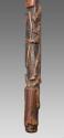 Walking Stick 2016.708.1