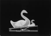 Squeak Toy 1971-846