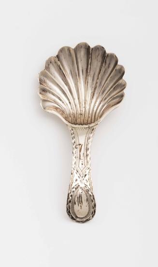 Caddy Spoon 1998-40