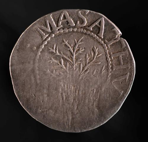 Oak Tree Shilling 2016-60
