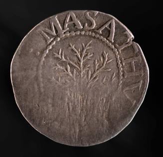 Oak Tree Shilling 2016-60