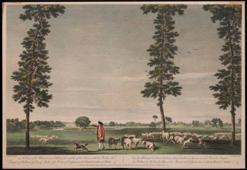Print 1955-401