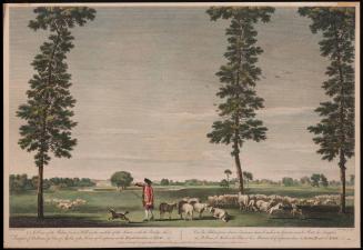 Print 1955-401