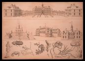 Copper Plate 1938-196