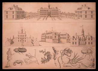 Copper Plate 1938-196