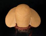 Bonnet 2018-191