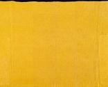 Quilt 1952-304
