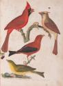 Book 2018-147,2