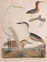 Book 2018-147,7