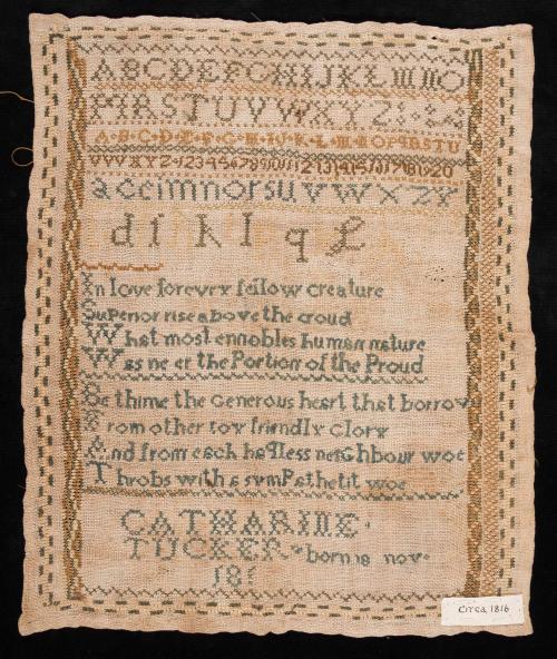 Sampler 2018-325